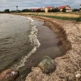 Гостевой дом Устье, фото гостя