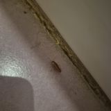 Бутик-Отель Прованс, фото гостя