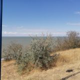 Гостевой дом Лилия, фото гостя