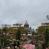 Ленинградская область, фото отдыхающего в сентябре