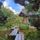 Ленинградская область, фото отдыхающего в сентябре