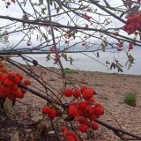 База отдыха Ретлё, фото гостя