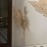 Хостел Travel Inn Тимирязевская, фото гостя