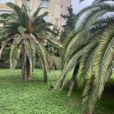 Черное море, фото отдыхающего в сентябре