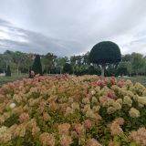 Краснодар, фото отдыхающего в сентябре