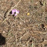 Hotel Nova, фото гостя