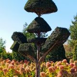 Краснодарский край, фото отдыхающего в сентябре