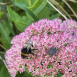 Гостевой дом Арт-деревня Витланд, фото гостя