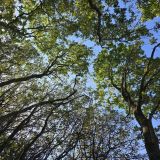 Гостевой дом Арт-деревня Витланд, фото гостя