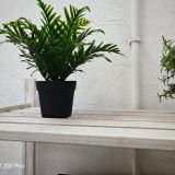 Апарт-отель SyncotelHome na Neve, фото гостя