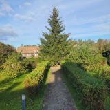 Отель Арина Р., фото гостя