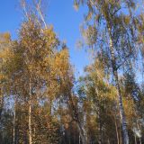 Золотое кольцо, фото отдыхающего в октябре