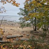 Ленинградская область, фото отдыхающего в октябре