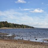 Ленинградская область, фото отдыхающего в октябре