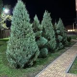 Загородный отель Боярский двор, фото гостя