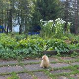 Отель Гелиос, фото гостя