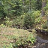 Отель Гелиос, фото гостя