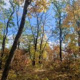 Гостиница Парк Сити, фото гостя