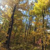 Гостиница Парк Сити, фото гостя