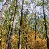 Гостиница Парк Сити, фото гостя