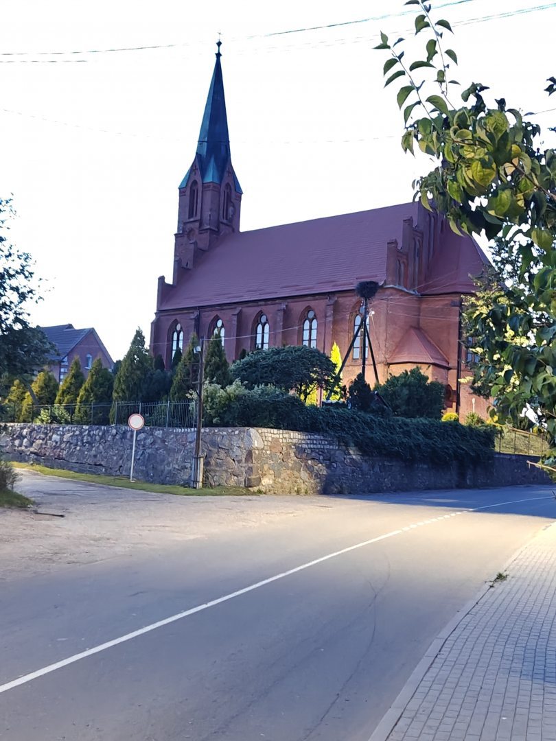 Ореховый сад, фото гостя