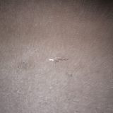 Гостиница Волна, фото гостя