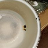 Гостевой дом Александрия, фото гостя