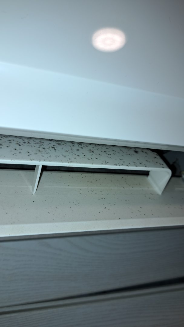 Amigo by ACADEMIA, фото гостя