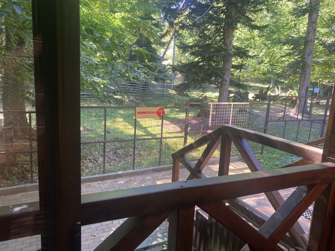 Velvet, фото гостя