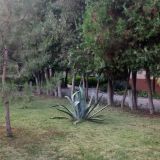 Пансионат Астра-центр, фото гостя