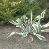 Пансионат Астра-центр, фото гостя