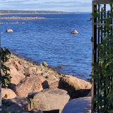 Ленинградская область, фото отдыхающего в сентябре