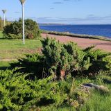 Ленинградская область, фото отдыхающего в сентябре
