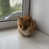 Отель Медем, фото гостя