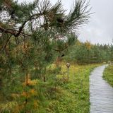 Парк-Отель Эко-Парк, фото гостя