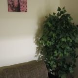 Гостиница Сакура, фото гостя