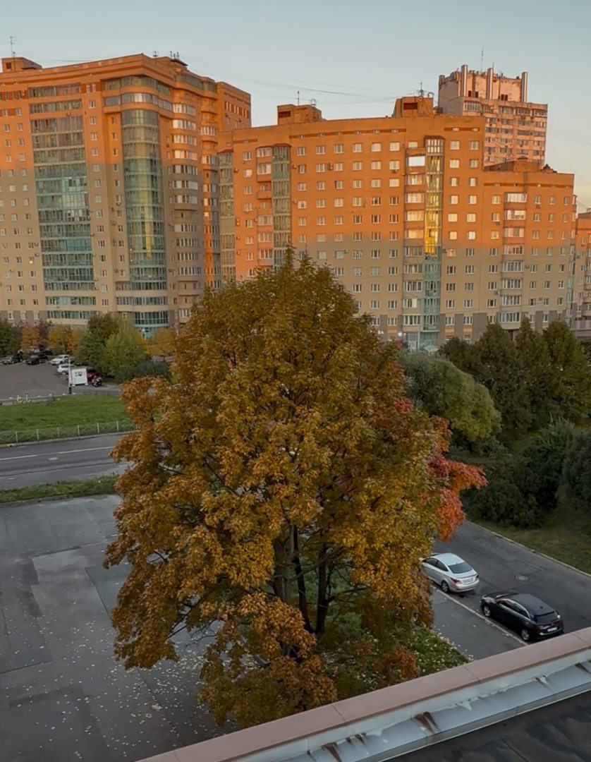 Россия, фото гостя