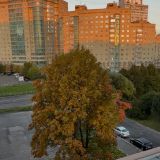 Гостиница Россия, фото гостя