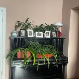 Baltic Boutique Hotel, фото гостя