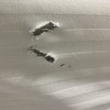 Отель Мечта, фото гостя