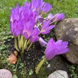 Апартаменты Арт Кранц, фото гостя