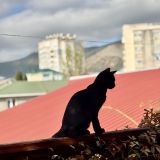 Гостевой дом Триера, фото гостя