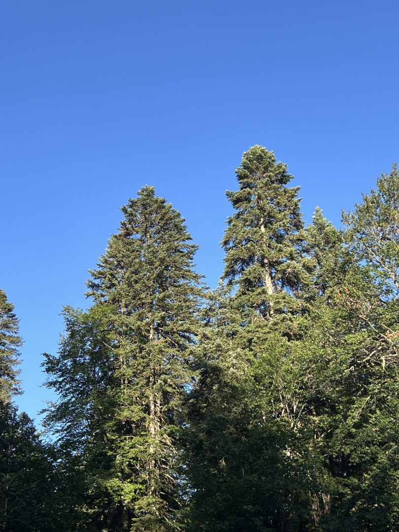 Liberty Village, фото гостя