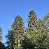 Гостевой дом Liberty Village, фото гостя