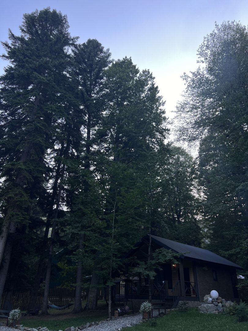 Liberty Village, фото гостя