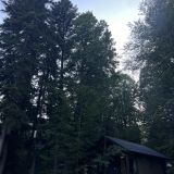 Гостевой дом Liberty Village, фото гостя