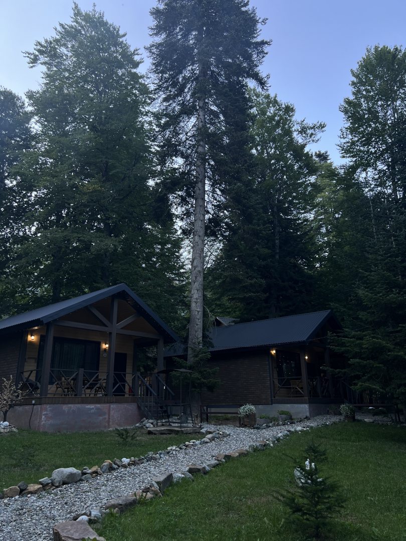 Liberty Village, фото гостя