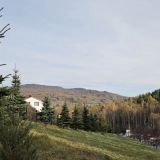 Отель Эдельвейс, фото гостя