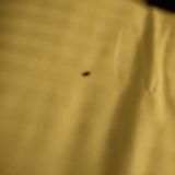 Гостиница Hotel Ring, фото гостя