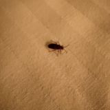 Гостиница Hotel Ring, фото гостя